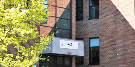 pearson adult and career centre|pacc adult education lasalle.